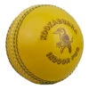 Indoor Cricket Balls