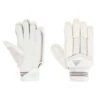 XT 4.0 Cricket Batting Gloves
