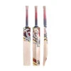 Beast 3.1 Cricket Bat 1 Beast 3.1 Cricket Bat -Sports Ball Store Beast 3.1 Cricket Bat