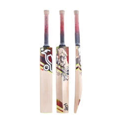 Beast 3.1 Cricket Bat