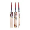 Beast Lite Cricket Bat