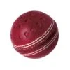 GM Chevron Swing Cricket Ball