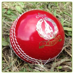 Oxbridge Colt Junior Cricket Ball