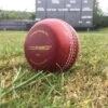 K-Bowl Cricket Training Ball -Sports Ball Store Flat Sided Cricket Ball