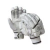 GM 808 Cricket Batting Gloves 2020 -Sports Ball Store GM 808 Cricket Batting Glove 2020