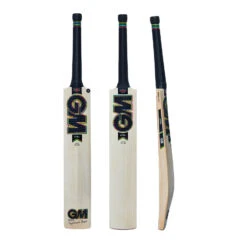 GM Hypa 404 Cricket Bat