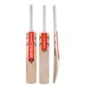 Classic Academy Junior Cricket Bat -Sports Ball Store Gray Nicolls Academy Cricket Bat 2020