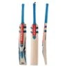 Vapour 5 Star Cricket Bat -Sports Ball Store Gray Nicolls Vapour Cricket Bat 2022