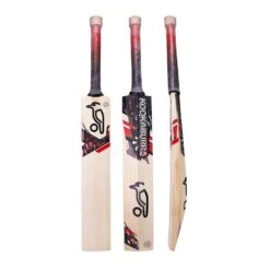 Beast 3.1 Cricket Bat 2022