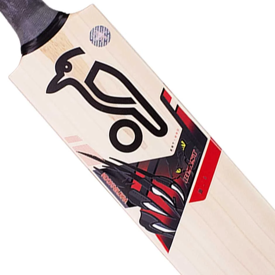 Beast 3.1 Cricket Bat 2022 4 Beast 3.1 Cricket Bat 2022 - Image 2
