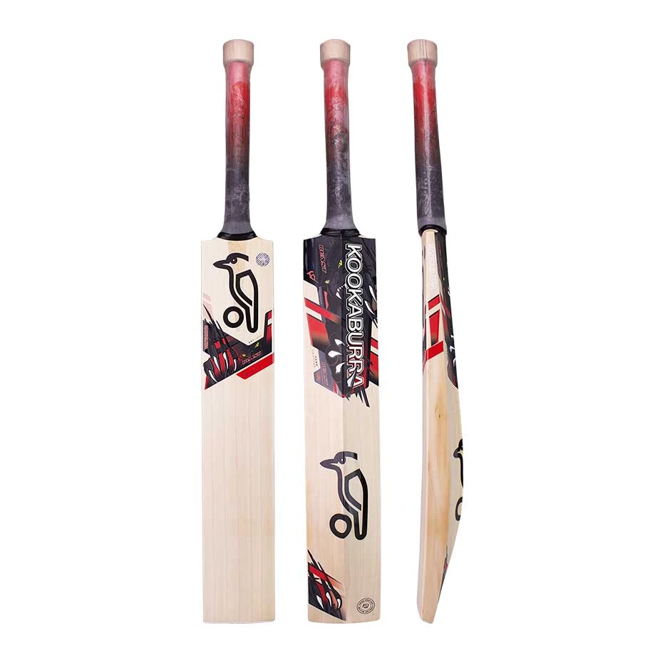 Beast 3.1 Cricket Bat 2022 3 Beast 3.1 Cricket Bat 2022