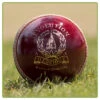 Evolution Cricket Ball -Sports Ball Store Mens Evolution Cricket Ball