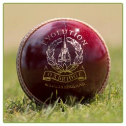 Evolution Cricket Ball