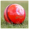 Magna Orange Cricket Balls