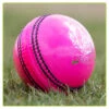 Magna Pink Cricket Balls -Sports Ball Store Mens Magna Pink Cricket Ball