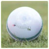 Magna White Cricket Ball -Sports Ball Store Mens Magna White Cricket Ball