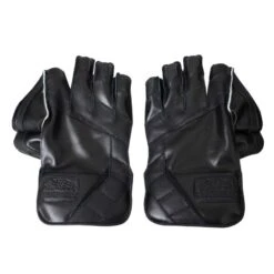 Series 1 LE Wicket Keeping Glove