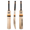 The Master 100 Players Cricket Bat