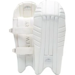 SPS Wicket Keeping Pad