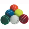 All Play Cricket Training Ball