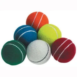 All Play Cricket Training Ball