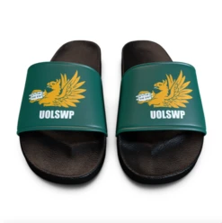 Team Custom Sliders -Sports Ball Store Slider 5