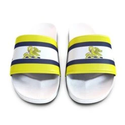 Team Custom Sliders -Sports Ball Store Slider 7