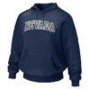 Team Hoodie (Heat Transfer)