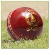 St James Cricket Ball -Sports Ball Store Tiflex St James Cricket Ball
