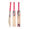 Flair Reserve 2.0 Cricket Bat