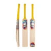 Pro X20 Reserve 2.0 Cricket Bat
